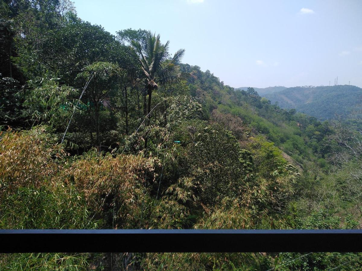 Spring And Valley View Thekkady Exteriör bild