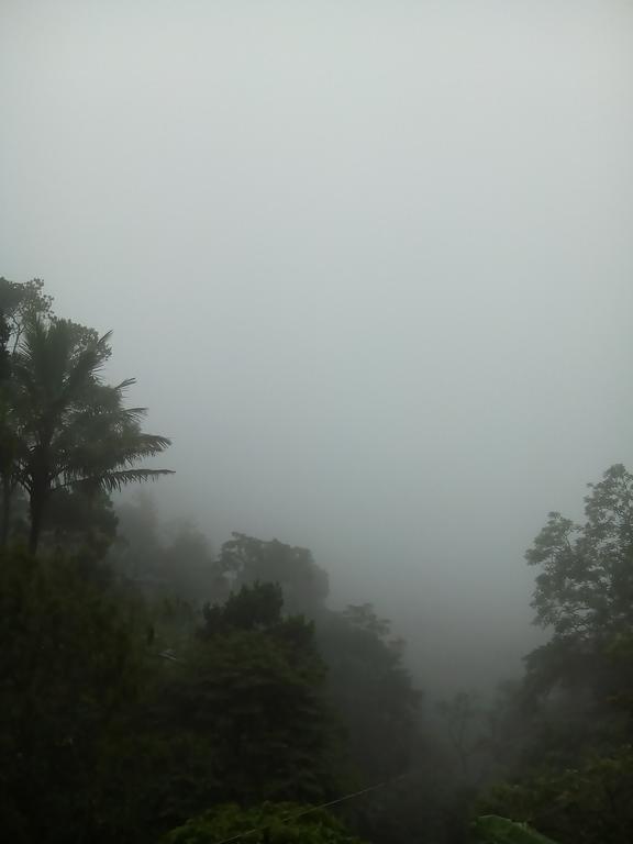Spring And Valley View Thekkady Exteriör bild