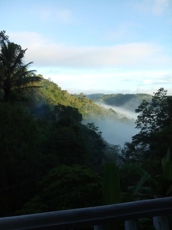 Spring And Valley View Thekkady Exteriör bild